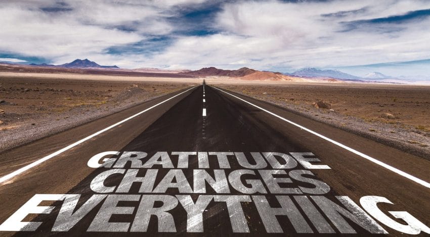 Gratitude Changes Everything: The Five Languages of Appreciation at Work